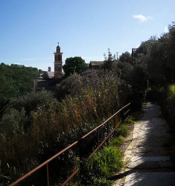 l'acquedotto storico genovese, uno dei percorsi naturalistici di Andrea Canepa